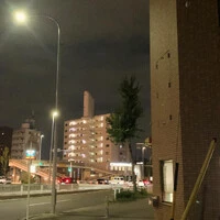 画像252
