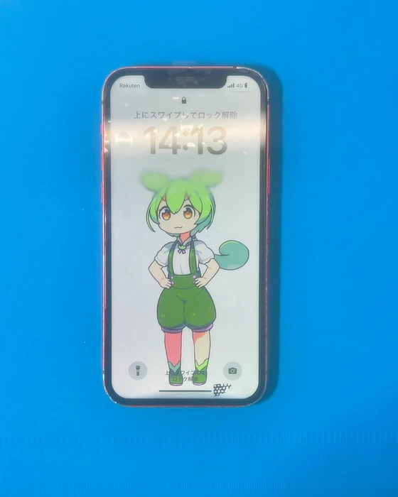 画像305
